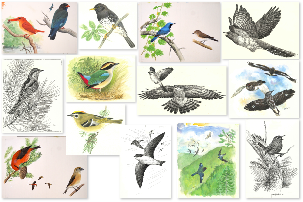 2026前期企画展示作品