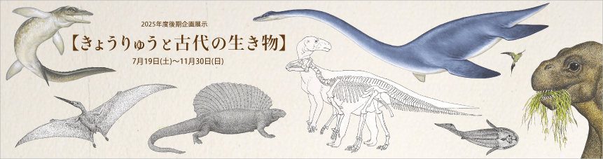 2025後期企画展示