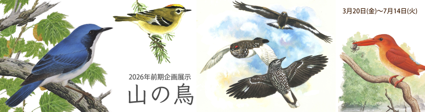 2026前期企画展示